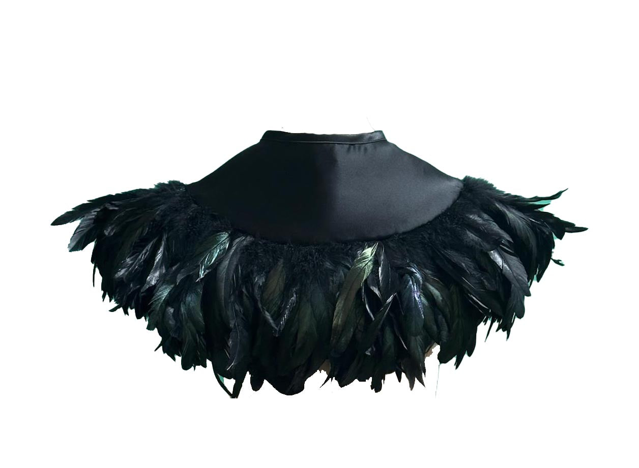 Black feathered collar on a white background